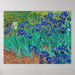 Póster Los irlandeses de Van Gogh