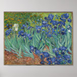 Póster Los irlandeses de Vincent Van Gogh.<br><div class="desc">"Irises" es una de una serie de pinturas,  producidas por Vincent Van Gogh,  mientras se encontraba en el asilo de Saint Paul-de-Mausole,  en Saint-Rémy-de-Provence,  Francia,  en el último antes de su muerte en 1890. Ahora está alojado en el Museo J. Paul Getty,  Los Ángeles,  Estados Unidos.</div>