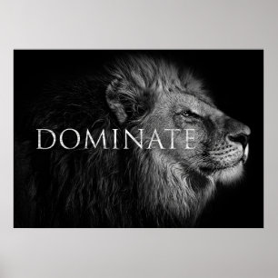 Póster Los Leones Dominan Como Un León