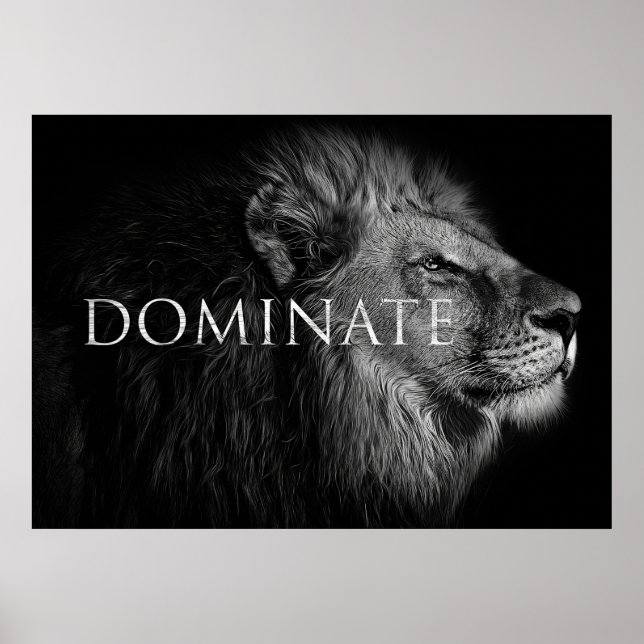 Póster Los Leones Dominan Como Un León (Frente)