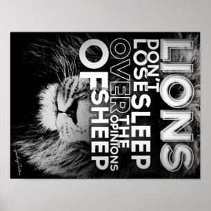 Póster Los leones no pierden sueño sobre las opiniones d