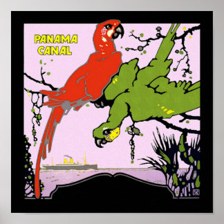 Póster Los loros del Canal de Panamá