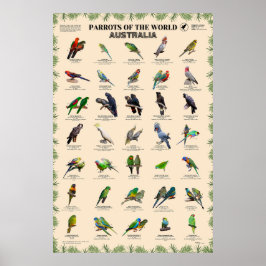 Póster Los loros del mundo - Australia