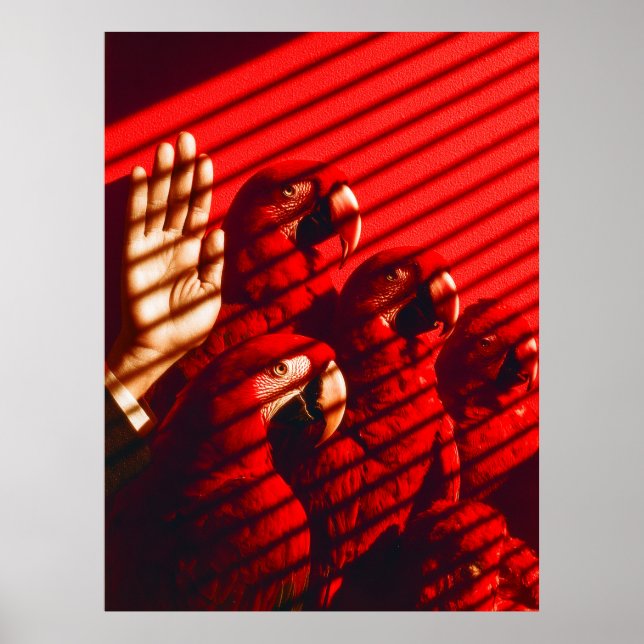 Póster Los loros rojos y una mano (Frente)