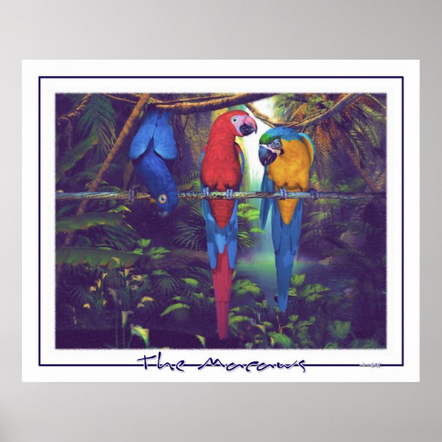 Póster Los Macaws - Poster (Frente)