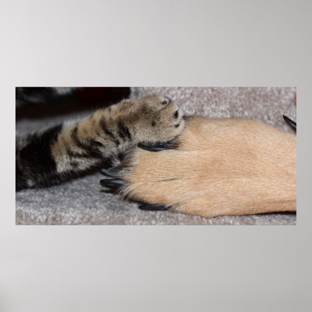 Póster Los mejores amigos para siempre por Shirley Taylor (Frente)