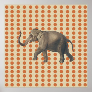Póster Los mejores ánimos de las especias con el elefante