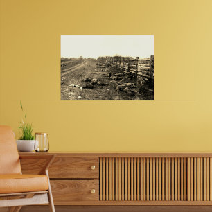 Póster Los Muertos de Antietam 1862 Guerra Civil Sepia