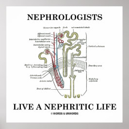 Póster Los Nefrologos Viven Una Vida Nefrita (Nephron)