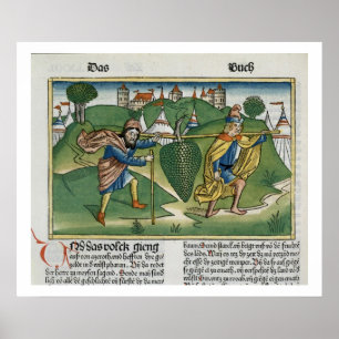 Póster Los números 13 23 Las uvas de Eschol, de la natura