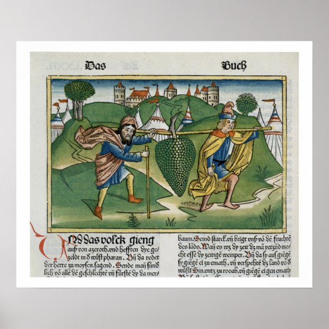 Póster Los números 13 23 Las uvas de Eschol, de la natura (Frente)