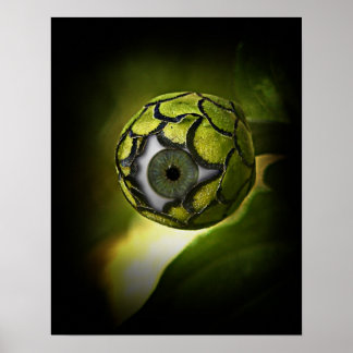 Póster ¡Los Ojos Te Verán En El Jardín, Esta Noche!