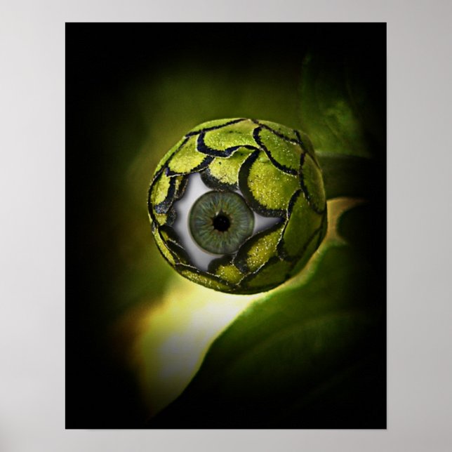 Póster ¡Los Ojos Te Verán En El Jardín, Esta Noche! (Frente)