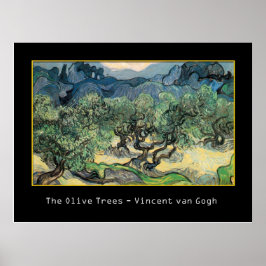 Póster Los Olivos, 1889, Vincent van Gogh