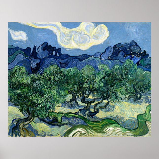 Póster Los olivos de Vincent van Gogh  (Frente)