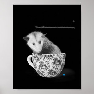 Póster Los opossums son tus amigos
