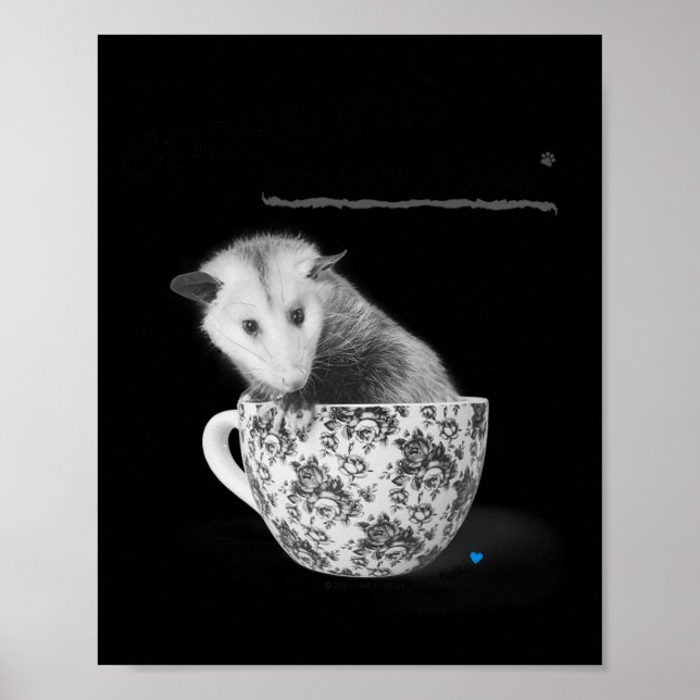 Póster Los opossums son tus amigos (Frente)