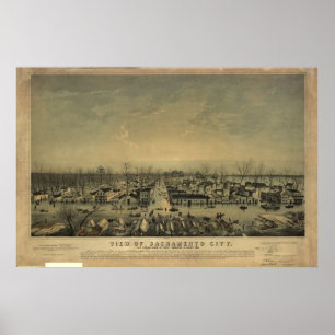 Póster Los pájaros 1850 de Sacramento California observan