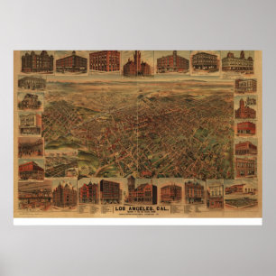 Póster Los pájaros 1891 de Los Ángeles CA observan el