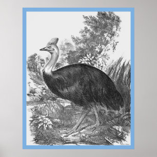 Póster Los 'pájaros de Australia' de John Gould ~ La masa