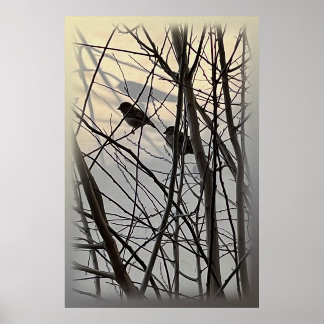 Póster Los pájaros matutinos (Frente)