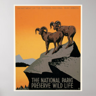 Póster Los parques nacionales protegen la fauna