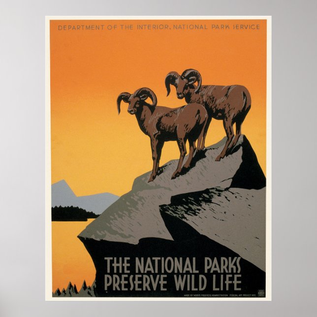 Póster Los parques nacionales protegen la fauna (Frente)