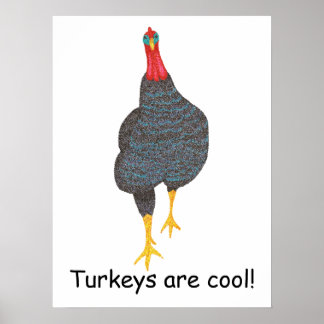 Póster Los pavos son geniales, carteles personalizados de