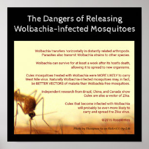 Póster Los peligros de Wolbachia por RoseWrites