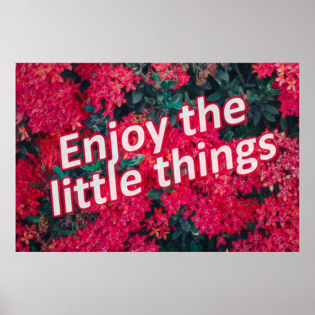 Póster Los pequeños placeres de la vida (Frente)