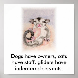 Póster Los perros tienen dueños, gatos tienen personal,