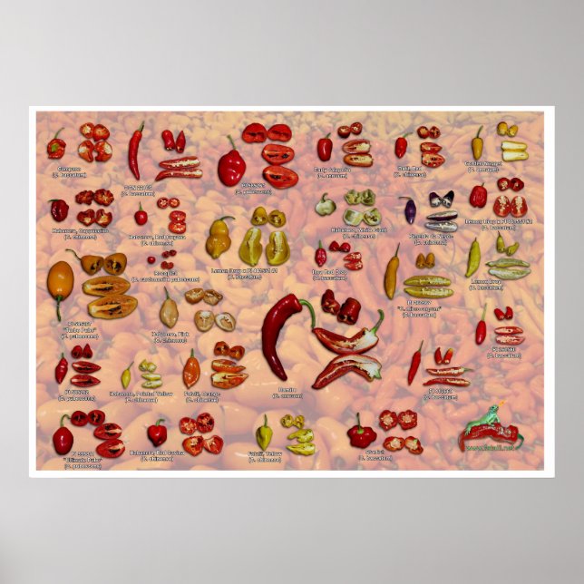 Póster ¡Los pimientos de Chile de Fatalii! (Frente)