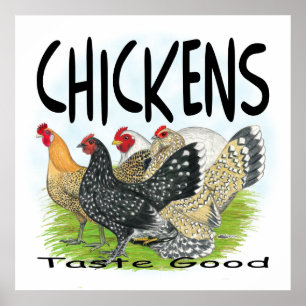 Póster ¡Los Pollos Gustan Bien!