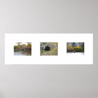 Póster Los puentes en color