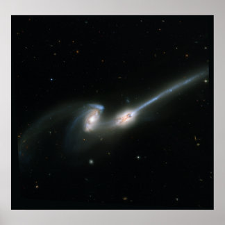 Póster Los ratones (NGC 4676)- Galaxias que colisionan