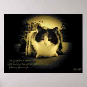 Póster Los ratones son divertidos Peep Hole Kitty Haiku