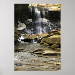 Póster Los remanente pasados del invierno