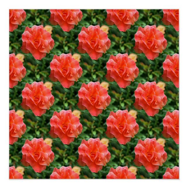 Póster Los rosas son rojos... (Anverso)