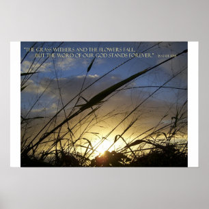 Póster Los sabios de la hierba