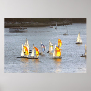 Póster Los Spinnakers asen el viento