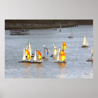 Póster Los Spinnakers toman el viento