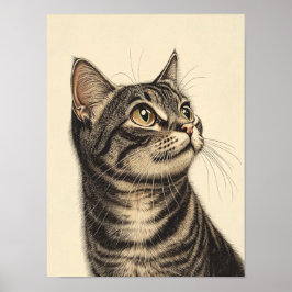 Póster Los tesoros tabby de Dürer 1