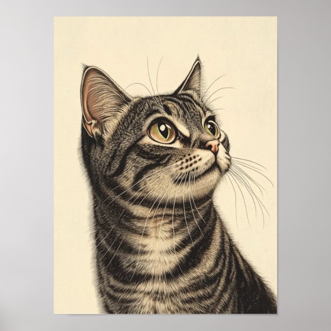 Póster Los tesoros tabby de Dürer 1 (Frente)