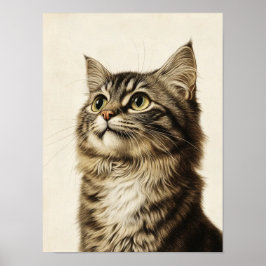 Póster Los tesoros tabby de Dürer 3