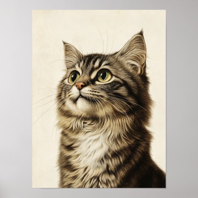 Póster Los tesoros tabby de Dürer 3 (Frente)