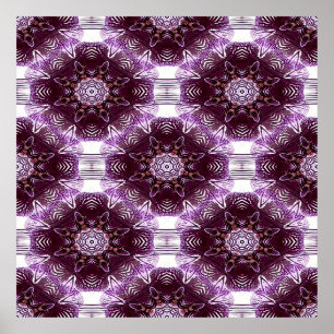 Póster Los tragos de orquídeas......