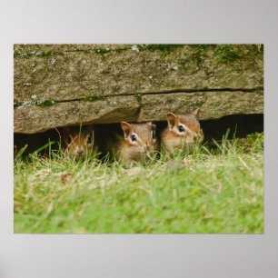 Póster los tres amigos