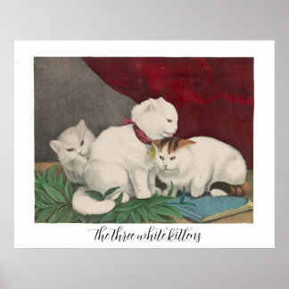 Póster Los tres gatitos blancos - paz - O.S. sc, Currier