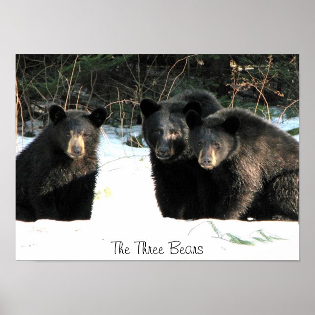 Póster Los Tres Osos, Los Tres Osos (Frente)