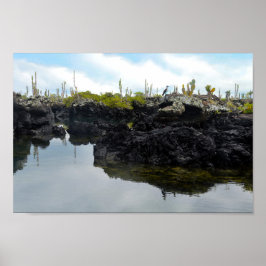 Póster Los Tuneles en las Islas Galápagos